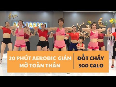 20 PHÚT AEROBIC GIẢM MỠ TOÀN THÂN - ĐỐT CHÁY 300 CALO |OANH NGUYỄN