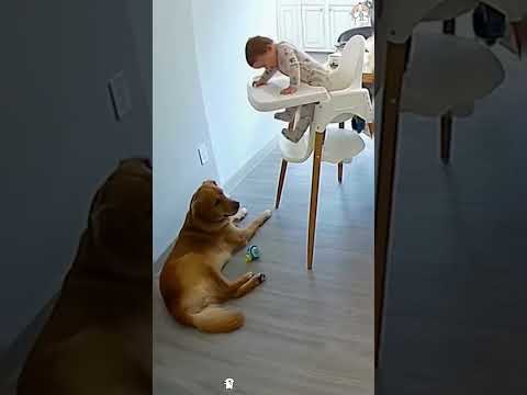 #dog #baby #fyp #pets