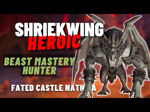 Shriekwing Fated Heroic Castle Nathria BM Hunter PoV | Shadowlands Season 4