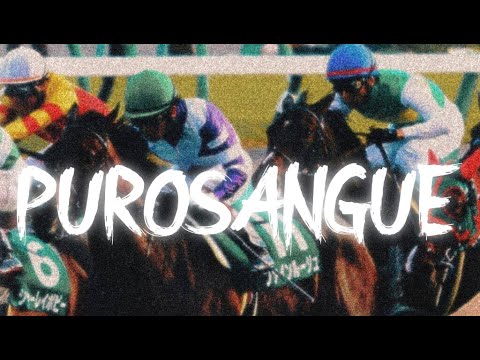 Shiva x Paky x Milano Ovest - Free Type Beat - Purosangue