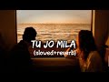 Tu Jo Mila Slowed Reverb KK Bajrangi Bhaijaan Lyrics