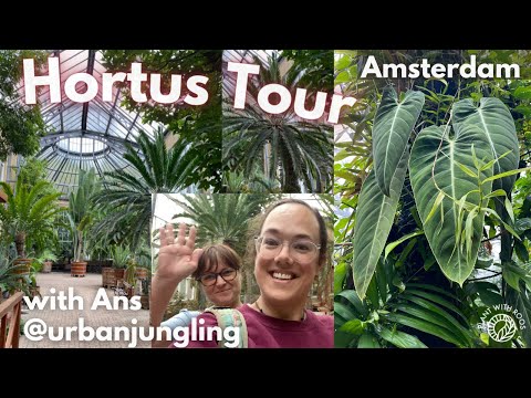 Tour of the Hortus Amsterdam - botanic garden up close with @urbanjungling | Plant with Roos