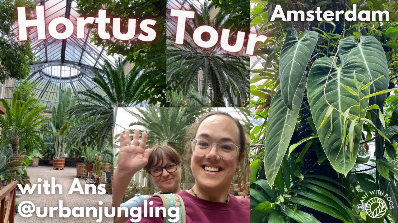 Join travelers as they embark on an exploration journey through Hortus Botanicus.