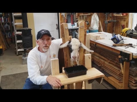 , title : 'Goat Milking Stand~ DIY~ Step by step instructions'