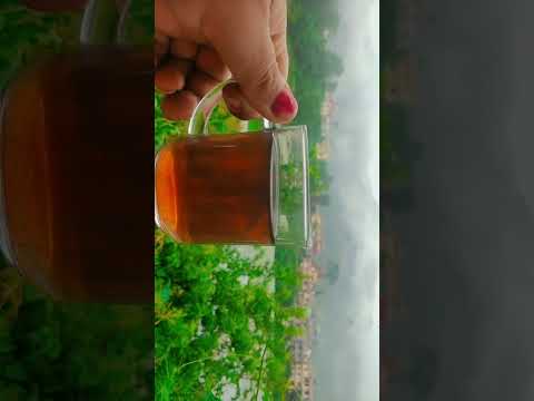 Rainy ⛈️ day  morning time nature ❤️❤️❤️❤️