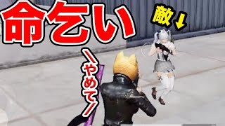 【荒野行動】敵にボイチャで命乞いしてみた結果…【神回】