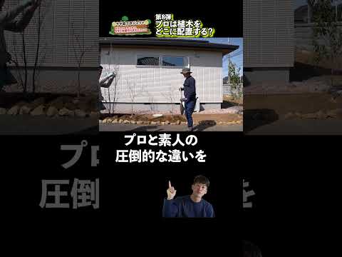 剪定できない低木はどれですか?メンテナンス不要の庭に適した7つの簡単な種  庭園