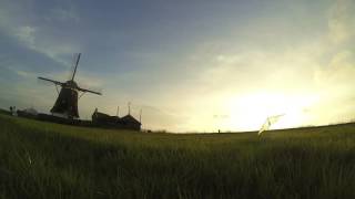 90Three STD | IckyTV