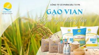 Giới thiệu GẠO Vian