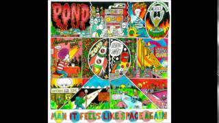 pond - elvis&#39; flaming star