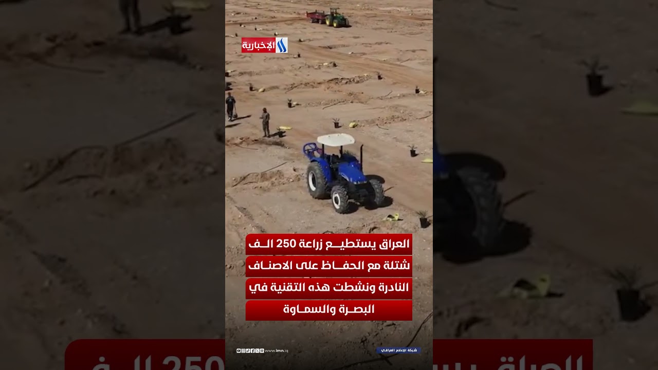 فيديو | نخيل العراق