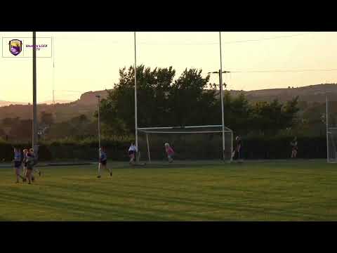 Wexford Ladies Football Junior A