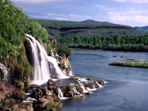 Wise Hand Manschoud HQ