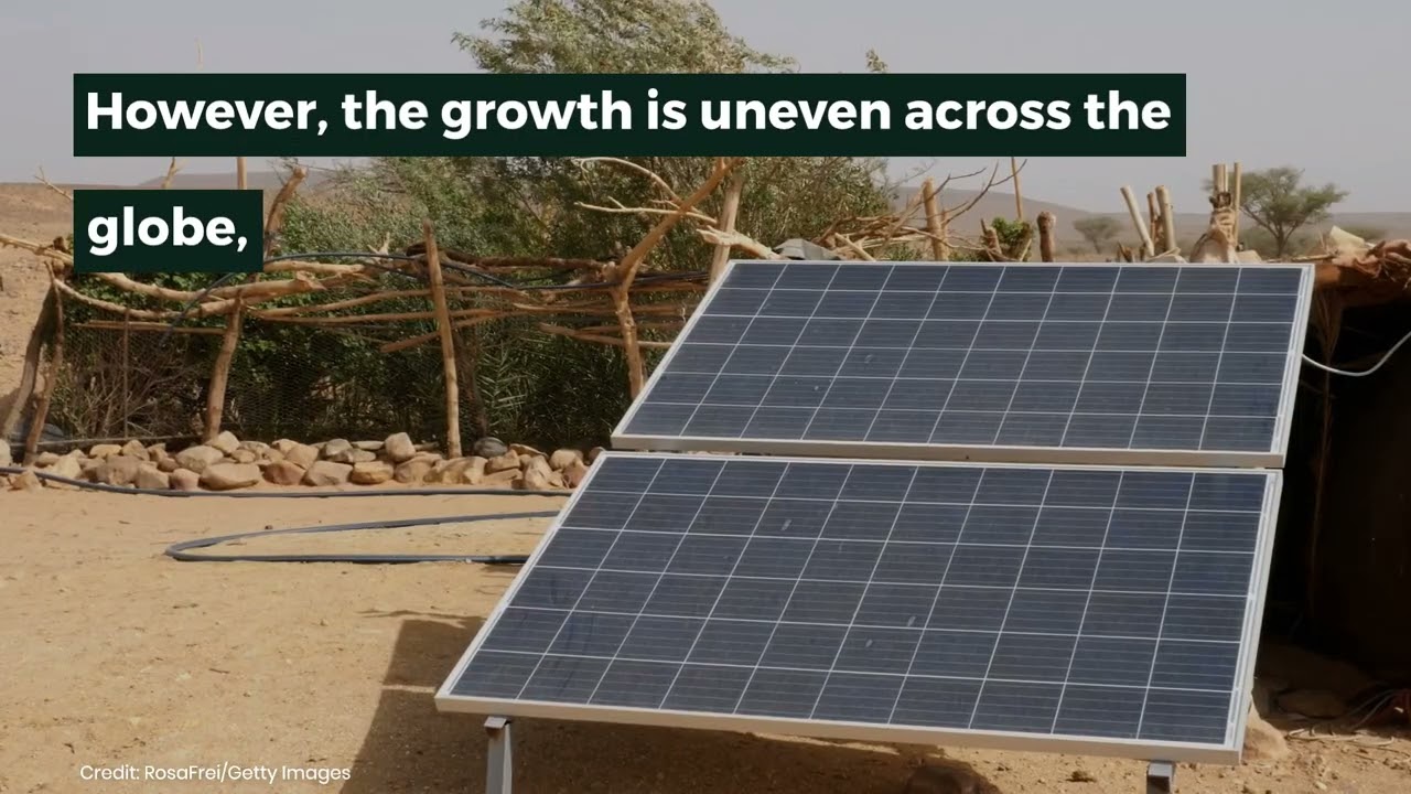 Renewable Capacity Statistics 2024