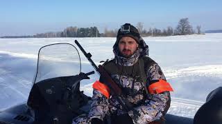 Приманки кабана зимой