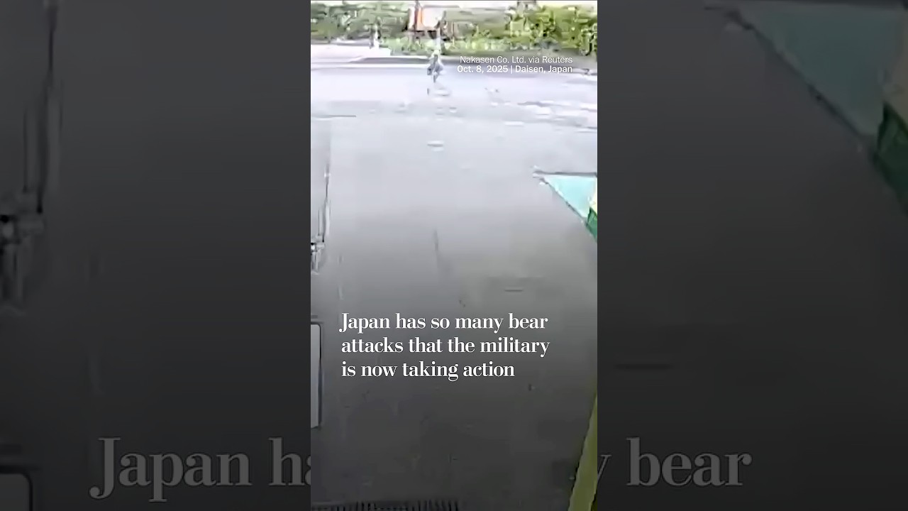 Japan has so many bear attacks that the military is now taking action