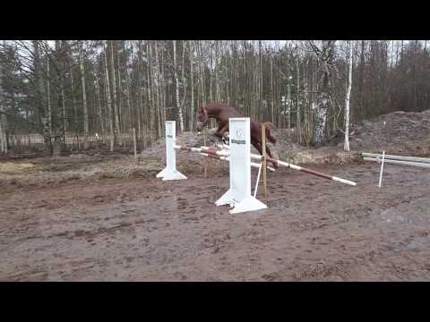 Kaliber DP, 2015, colt, Glock's Toto Jr x Olivi x Havidoff 1