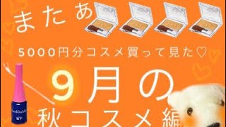 【購入品】今月も5000円分コスメ買ってきたぁぁぁぁあ！！！プチプラだよぉぉお