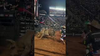 TOURO COBIÇADO da CIA. TÉRCIO MIRANDA | MELHOR TOURO do BARRETOS 2024 | #peao #rodeio #barretos