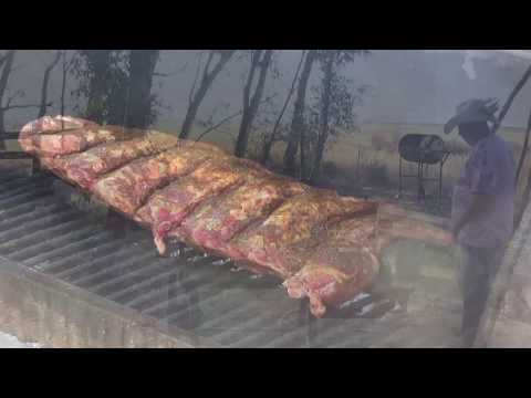 download lagu mp3 mp4 Red Oak Cooking Wood, download lagu Red Oak Cooking Wood gratis, unduh video klip Red Oak Cooking Wood