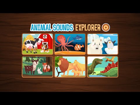 Animal Sounds Explorer