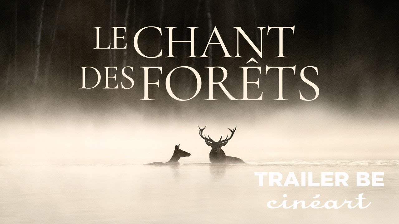 Le chant des forêts LBL