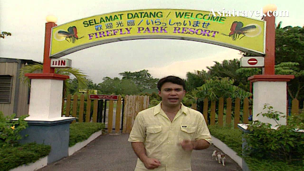 Firefly Park Resort Kuala Selangor, Malaysia by Asiatravel.com
