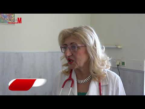 Mitrovacke price 2006