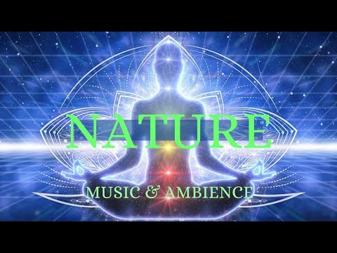 Relaxing Music, Healing &Meditation Music, Spa Music,Sleep, Zen, Study Music,Yoga | Nature_Time_24.7