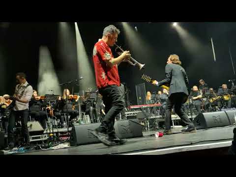 James - Laid ( live at Manchester Apollo Music Feeds Live gig Feb 27th 2024)