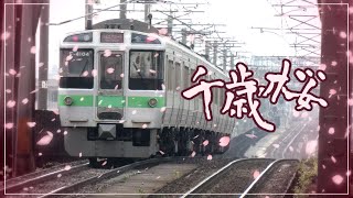 Download lagu 千歳桜【千歳線×千本桜】 mp3 Download lagu 千歳桜【千歳線×千本桜】 mp3