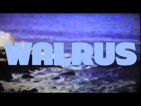 Poncho Compilation Vol 1: Walrus