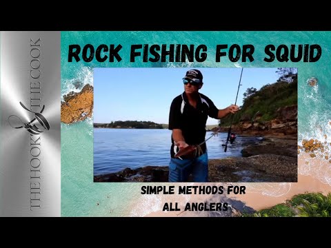 ROCK FISHING FOR SQUID | Land based Squid fishing tips and tricks.