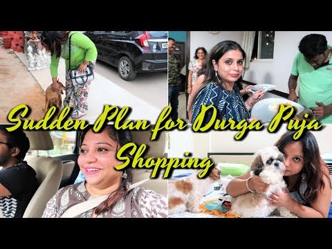Sudden Shopping Plan | Durga Puja 2019 First Meeting | Sudden Shopping And First Meeting