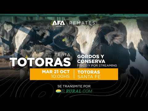 Remate AFA Gordos y Conserva desde Totoras Santa Fe