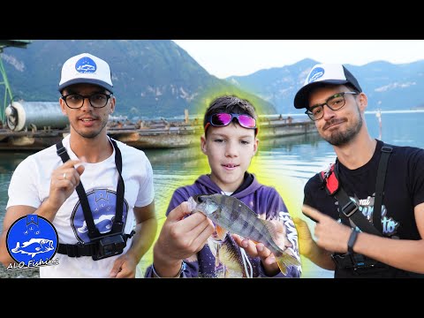 A PESCA CON GLI ISCRITTI Ep.3 - Persici reali sul lago d'Iseo