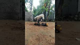 #kumari miniatures#rc exavator#tata tipper #artist#