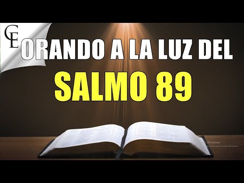 Stop Having Problems at Work! How SALMO89 Changed My Professional Life