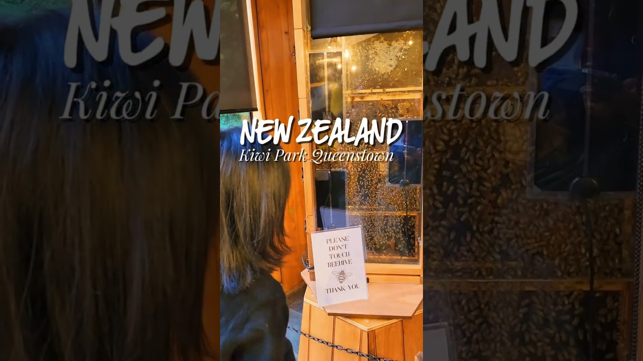 YouTube Short thumbnail