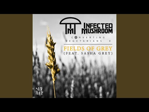 Video thumbnail for Fields of Grey (Skazi Remix)