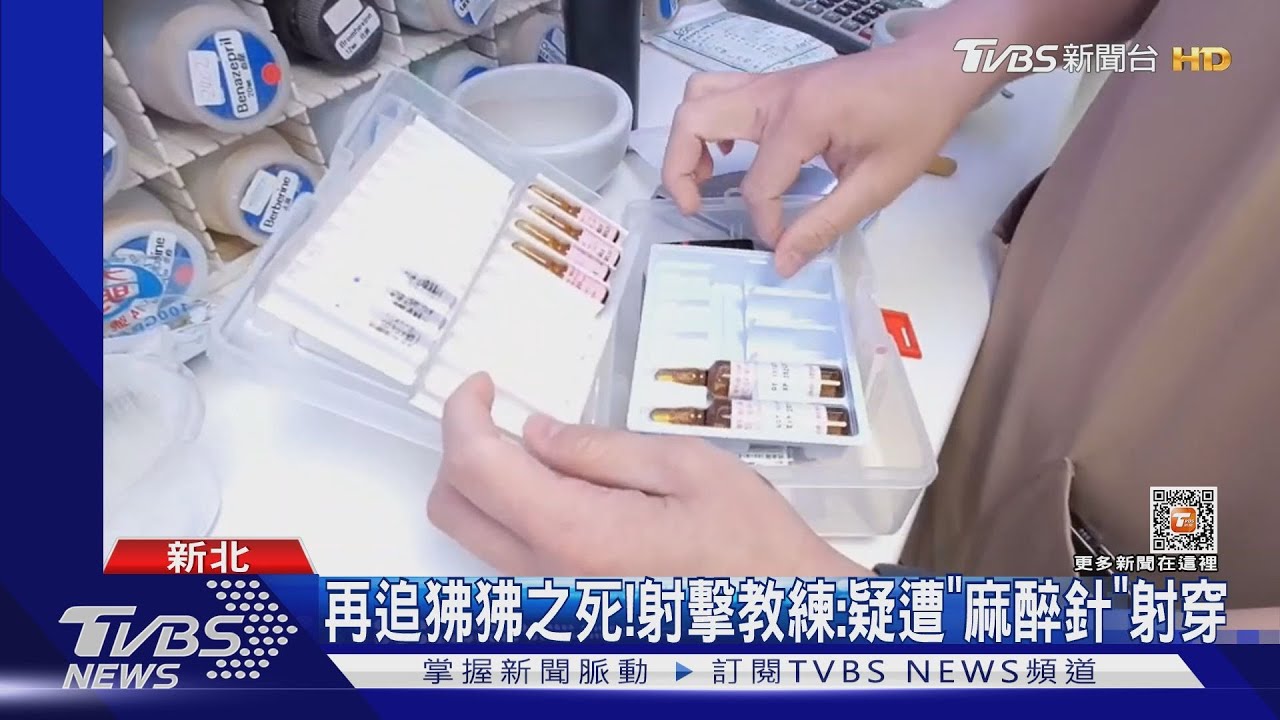 再追狒狒之死! 射擊教練:疑遭「麻醉針」射穿