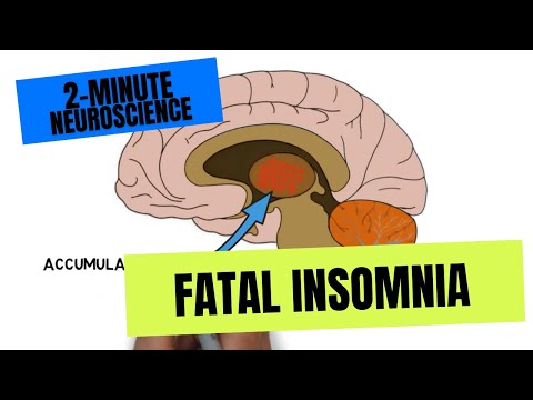 2-Minute Neuroscience: Fatal Insomnia