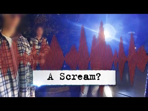 Did Bodycam Catch Scream on Night Idaho Students Were Slain?