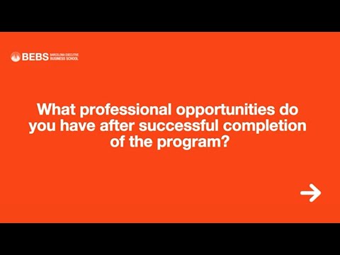 Become a skilled International Project Manager with BEBS MBA