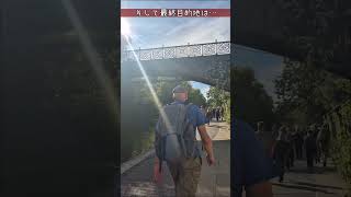 【ロンドン散歩🇬🇧】カムデンからプリムローズヒルへ!丘の上から眺めるロンドンの絶景 #Shorts