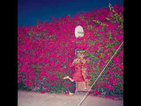 Videoclip de I Wish I Didn’t Miss You — Feist