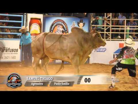Rodeio de Umuarama 2015 - FINAL