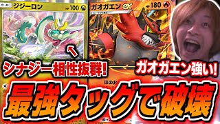 【ポケポケ】ジジーロン入りガオガエンが強すぎる..!全デッキ対応"逆上炎上ガオガエンデッキ"を作成するおえちゃん【2025/05/01】