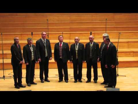 TRI NARODNE - OKTET DESETI BRAT