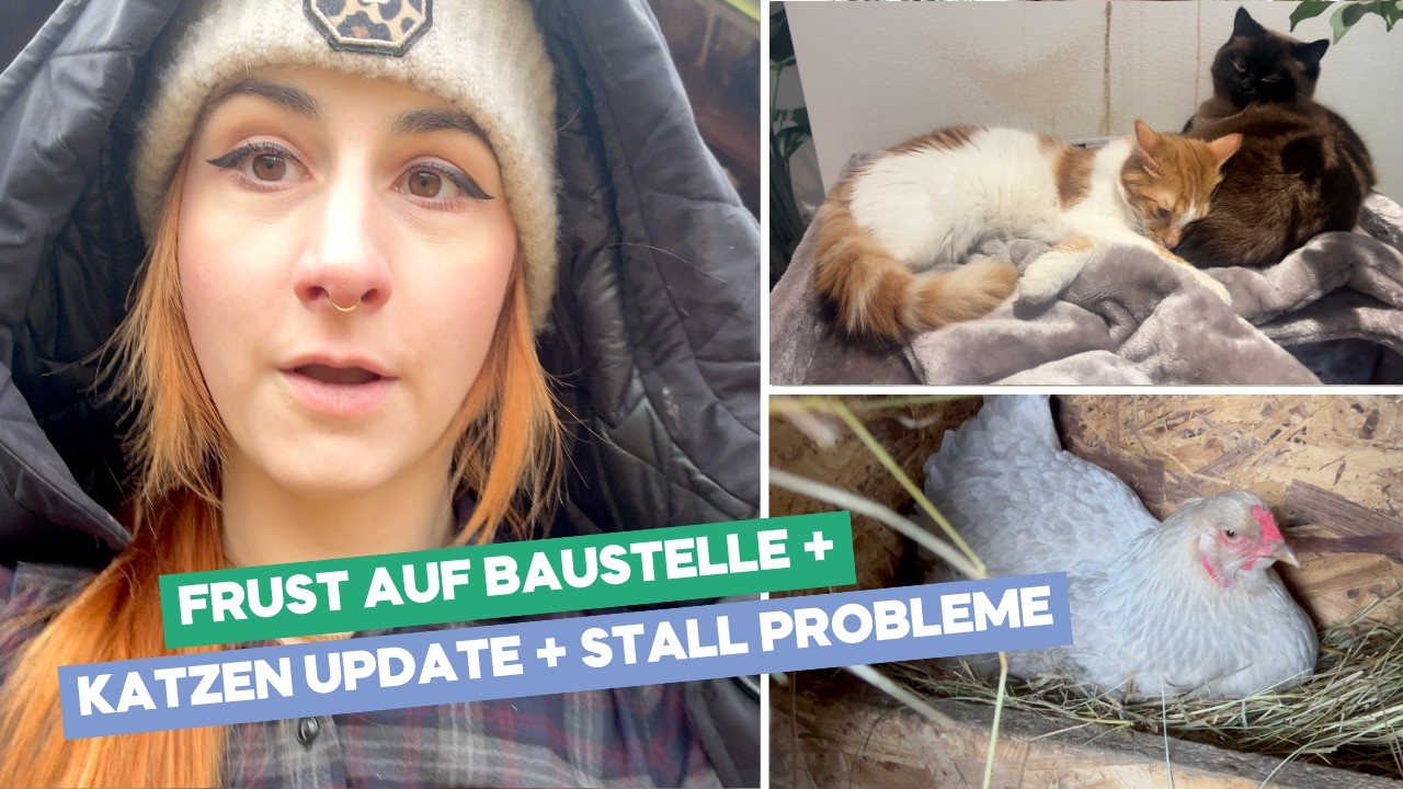 Katzen Update / Baustellen-Frust / Hühner-Probleme | Weekly Vlog 04-26